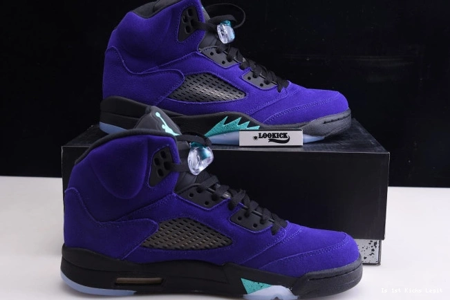 5 Jordan Retro Alternate 136027-500 Grape Air 0728